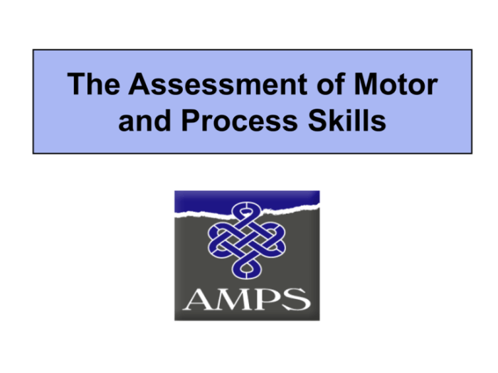 Assessment of motor process skills