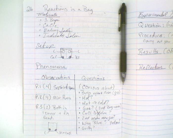 Reaction in a bag lab answer key