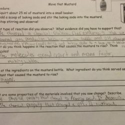 Reaction in a bag lab answer key