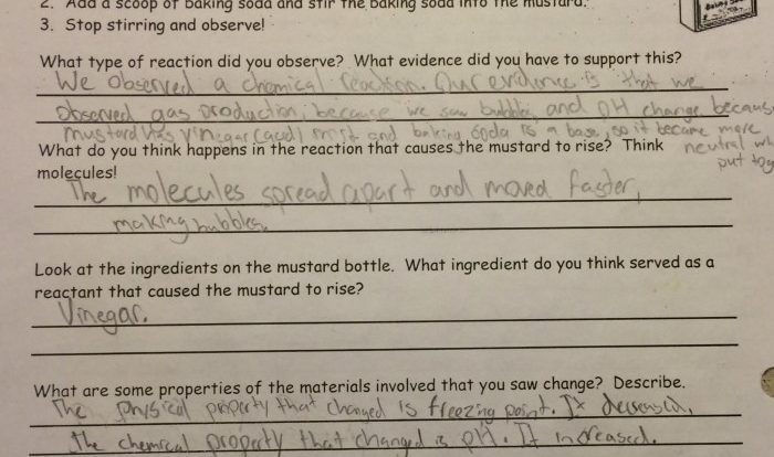 Reaction in a bag lab answer key