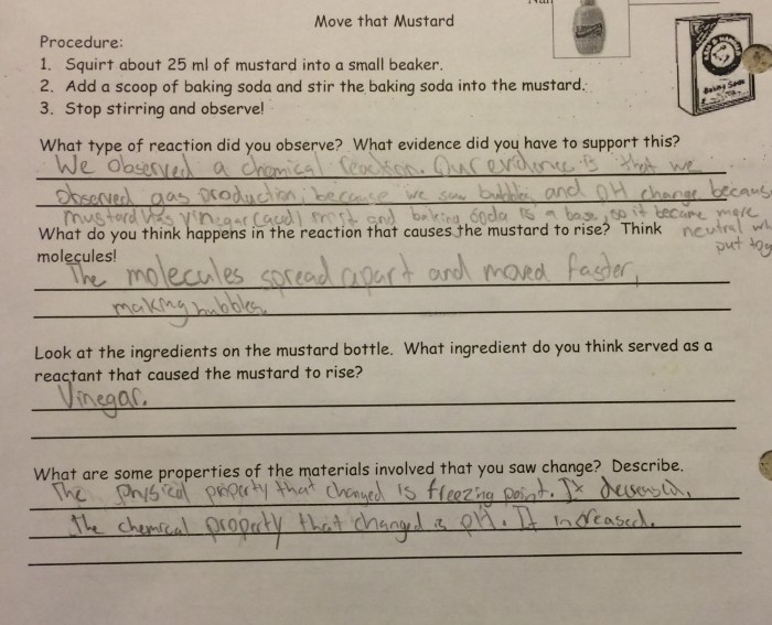 Reaction in a bag lab answer key