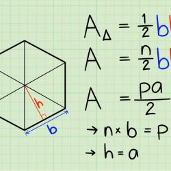 Area of triangles and other polygons iready