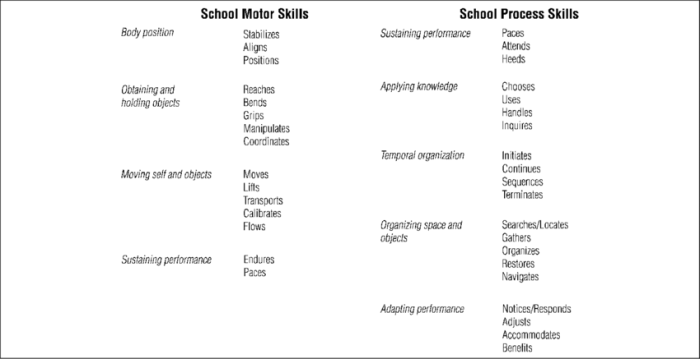 Motor fine skills checklist development occupational checklists typical therapists used