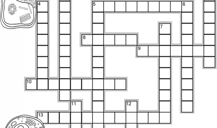 Cell structure function crossword answer key