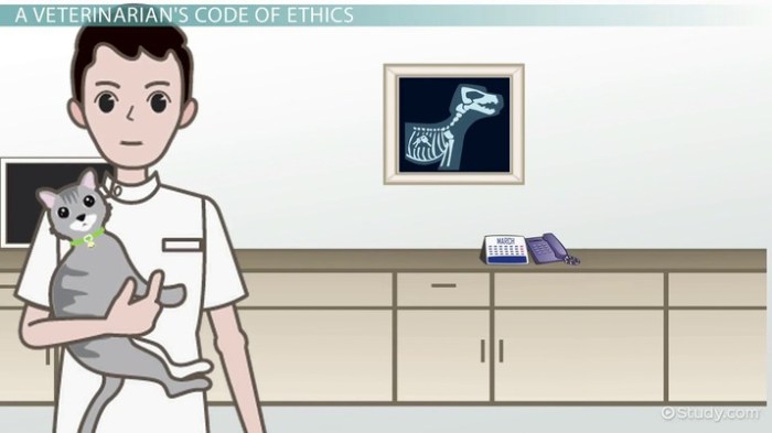 Code of ethics for veterinary technicians