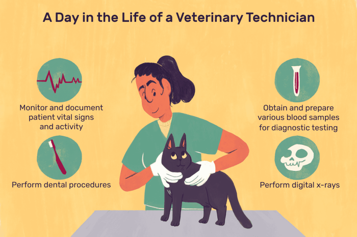 Code of ethics for veterinary technicians