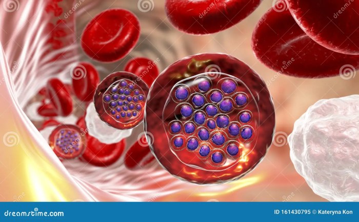 Bacteria that lack fimbriae are less likely to ________.